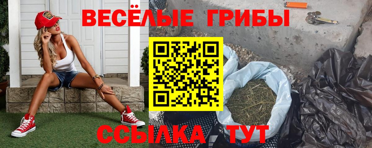 Ликино-Дулёво  Псилоцибиновые грибы Magic Shrooms  Вход с VPN 
